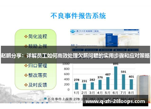 赵鹏分享：详解员工如何高效处理欠薪问题的实用步骤和应对策略