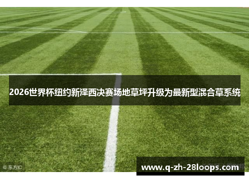 2026世界杯纽约新泽西决赛场地草坪升级为最新型混合草系统